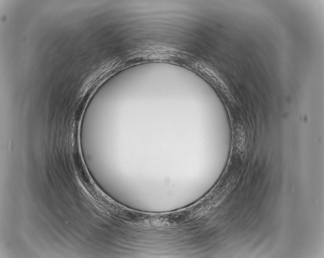 X0000087010586200704161309