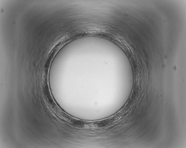 X0000087010591200704161309