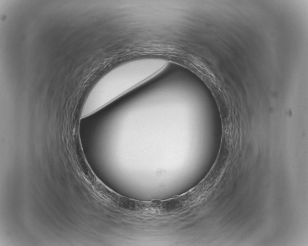X0000087010593200704161309
