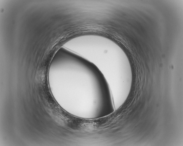 X0000087010595200704161309
