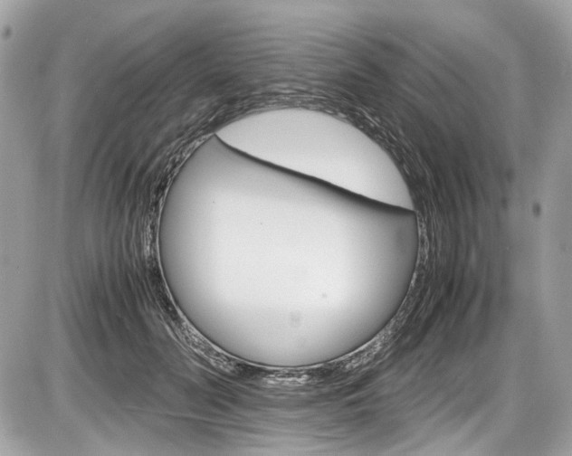 X0000087010606200704161308