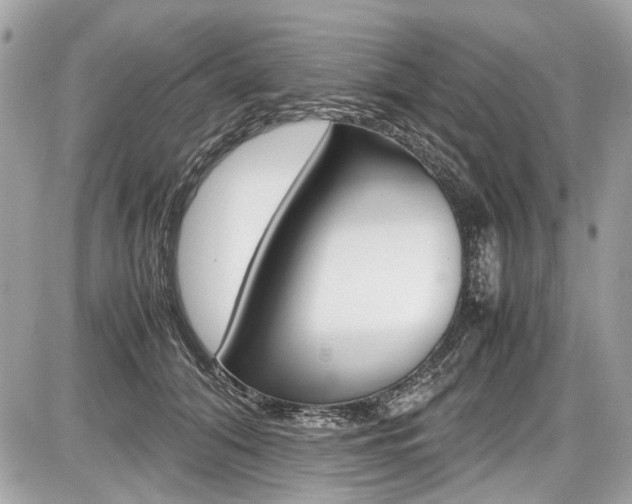 X0000087010608200704161308