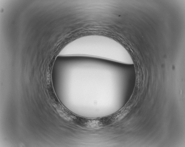 X0000087010609200704161308