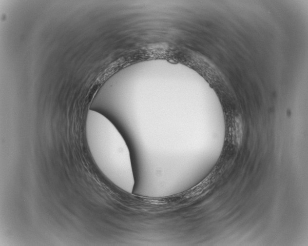 X0000087010610200704161308