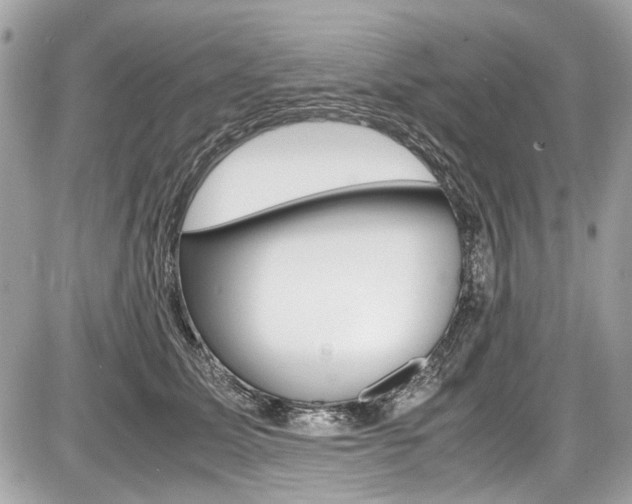 X0000087010611200704161308
