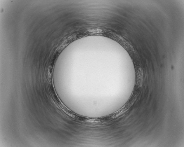 X0000087010614200704161308