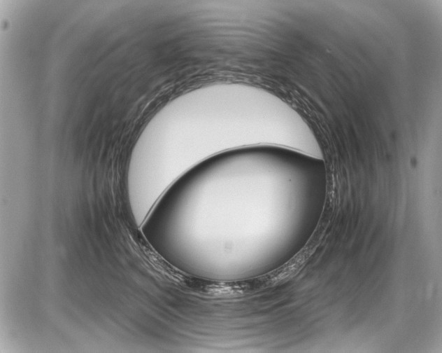 X0000087010616200704161308