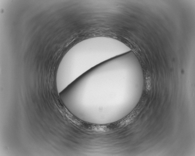 X0000087010618200704161308