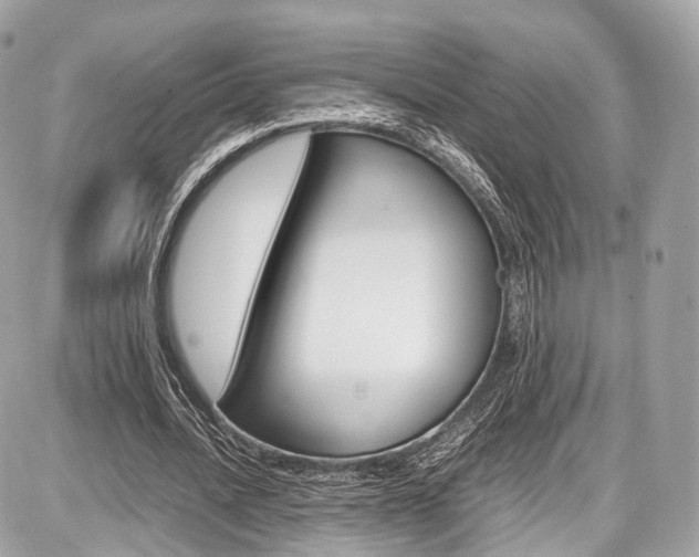 X0000087010628200704161307