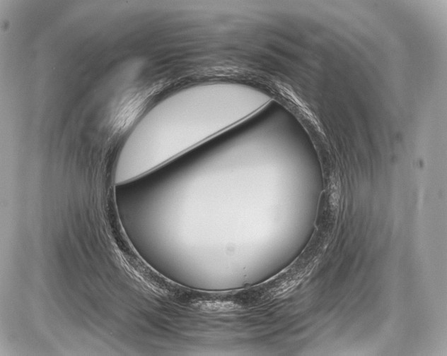 X0000087010637200704161307