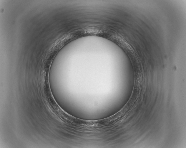 X0000087010639200704161307