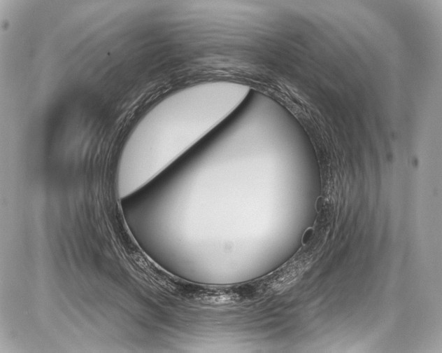 X0000087010646200704161308