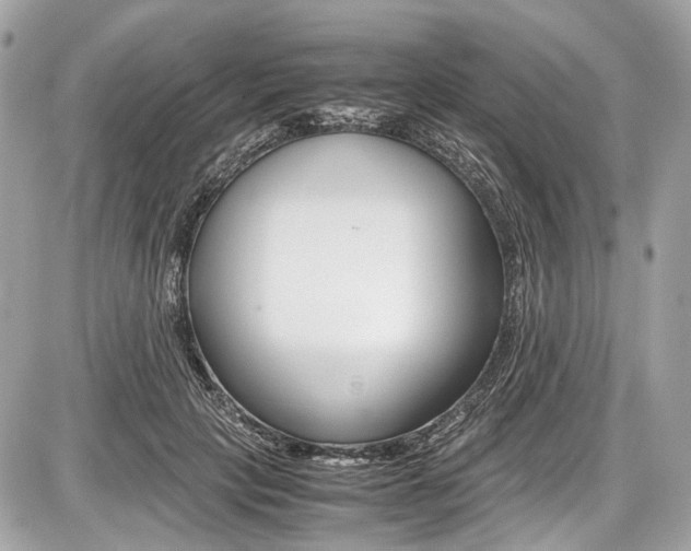 X0000087010649200704161308