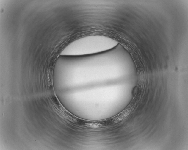 X0000087010654200704161308