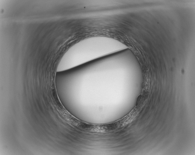 X0000087010656200704161308