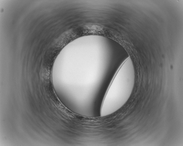 X0000087010657200704161308