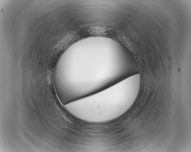 X0000087010658200704161308