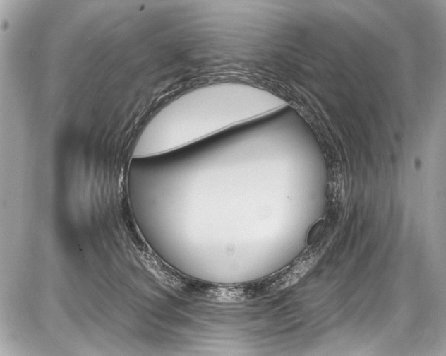 X0000087010660200704161308