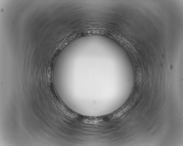 X0000087010661200704161308