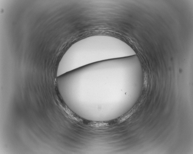 X0000087010670200704161308