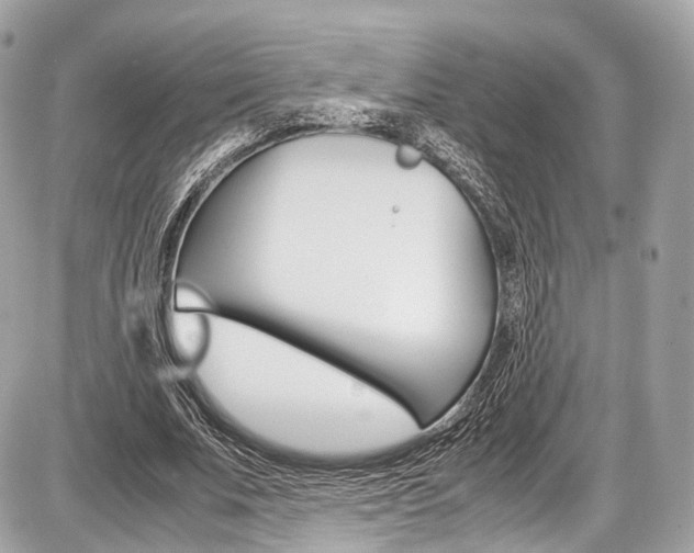 X0000087010679200704161307