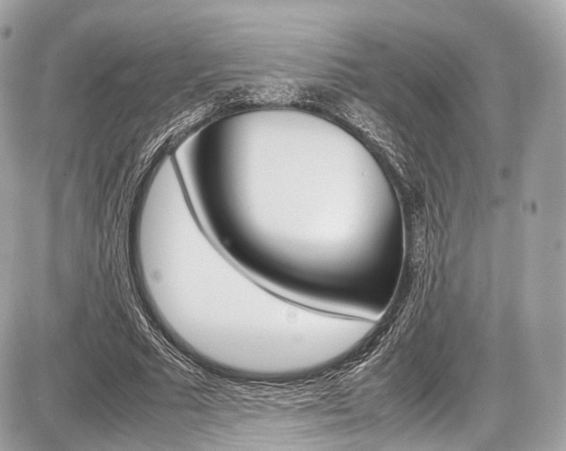X0000087010681200704161307