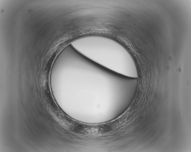 X0000087010687200704161307