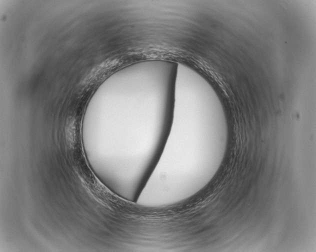 X0000087010690200704161307