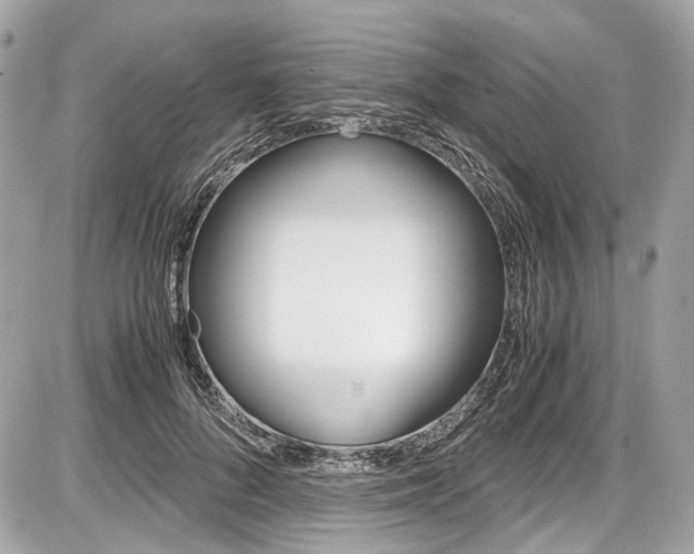X0000087010696200704161307