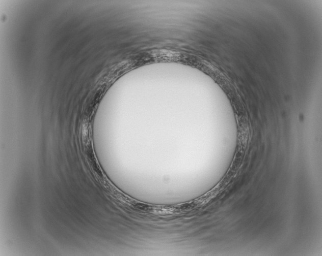 X0000087010709200704161306
