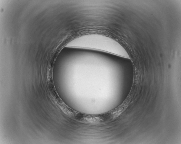 X0000087010712200704161306