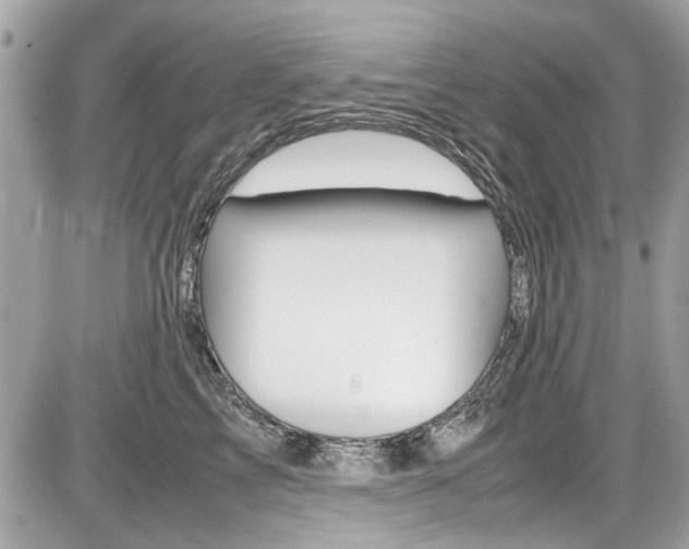 X0000087010713200704161306