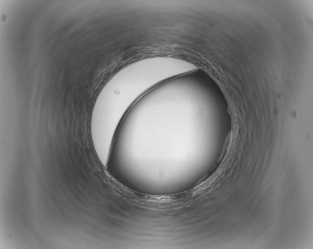 X0000087010720200704161306