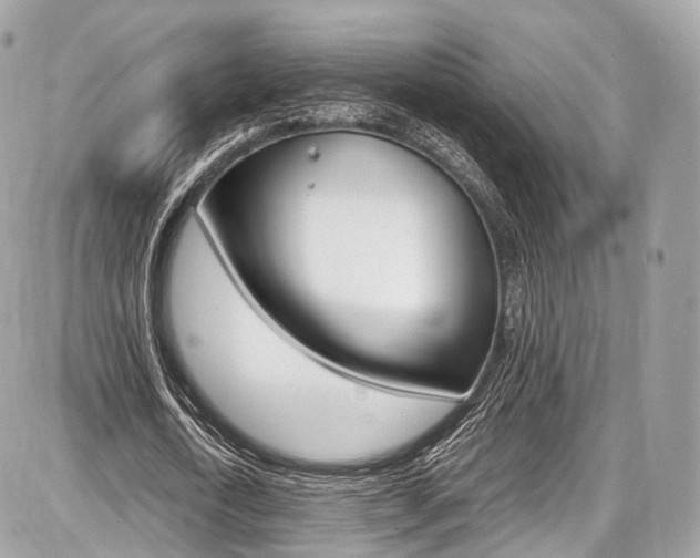 X0000087010722200704161305