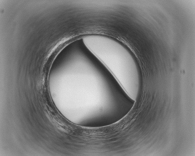 X0000087010723200704161305