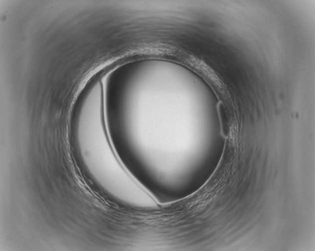 X0000087010724200704161305