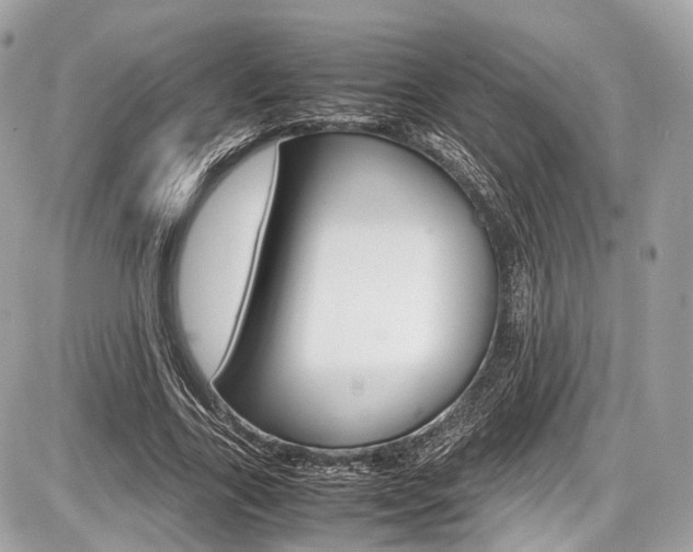 X0000087010731200704161306