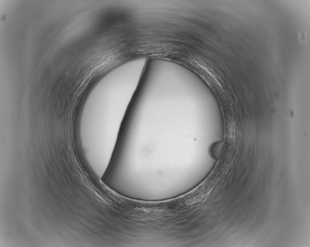 X0000087010733200704161306