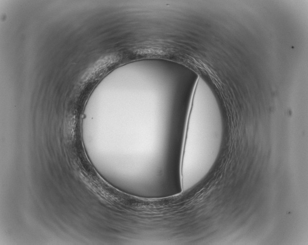 X0000087010735200704161306
