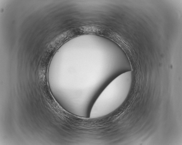 X0000087010737200704161306