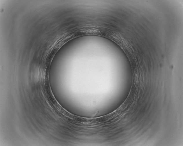 X0000087010739200704161306