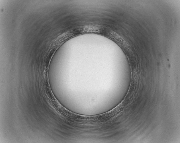 X0000087010741200704161306
