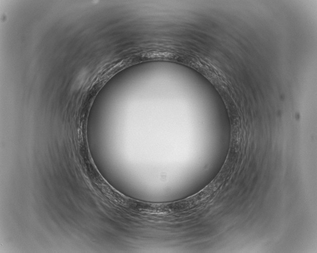 X0000087010743200704161306