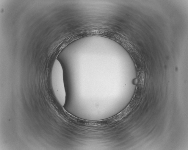 X0000087010746200704161306