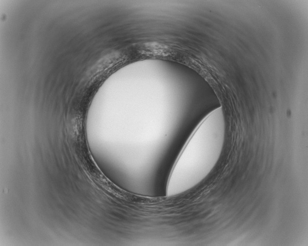 X0000087010747200704161306