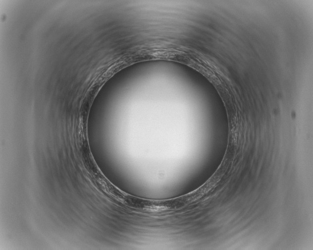 X0000087010748200704161306