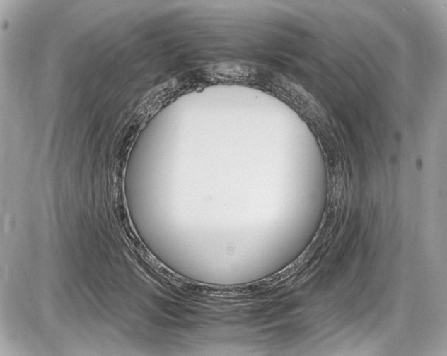 X0000087010749200704161306