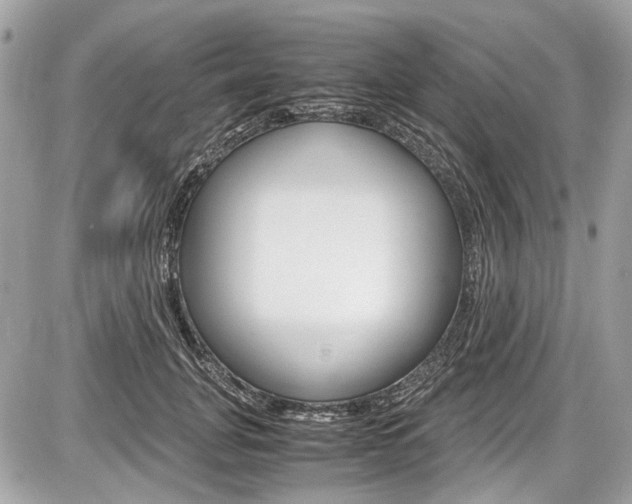 X0000087010751200704161306