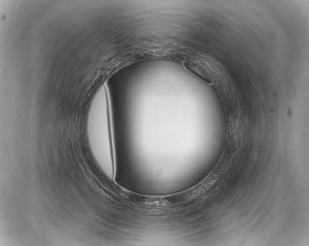 X0000087010752200704161306