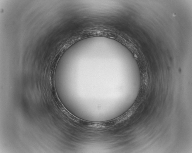X0000087010754200704161306